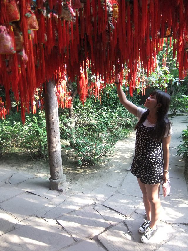 Make your city hit the headlines: Reasons for loving Chengdu