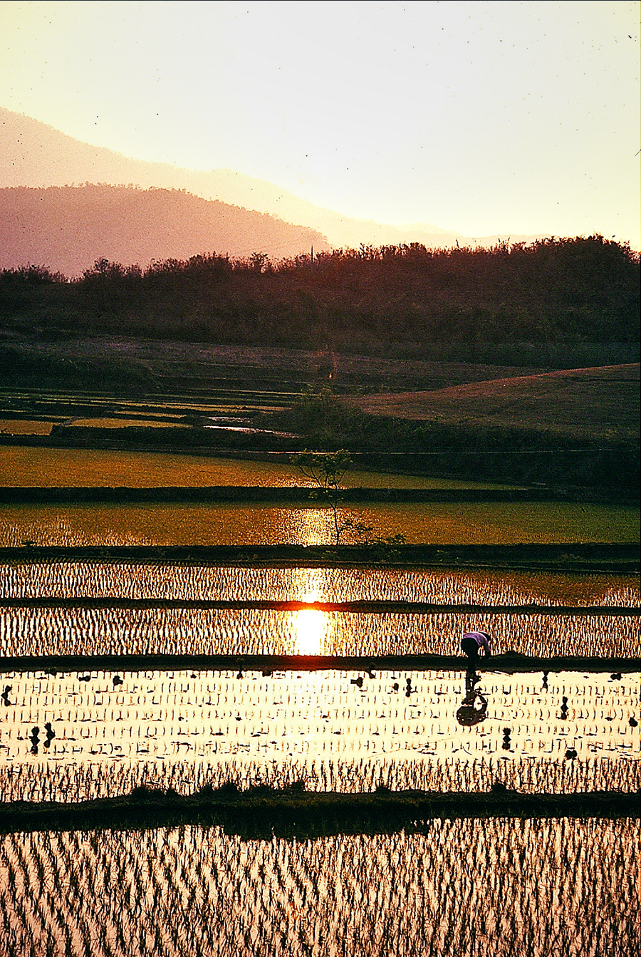 Discovering Hainan's tropical interior