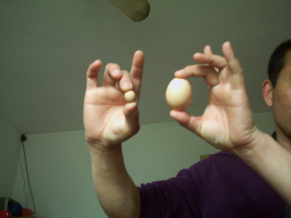 Small egg may break world record