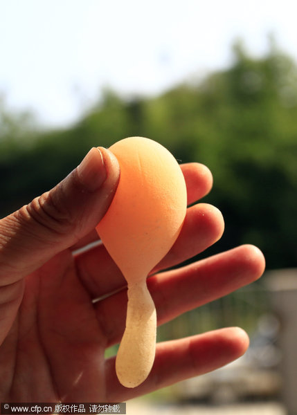 Deformed egg with bizarre tail