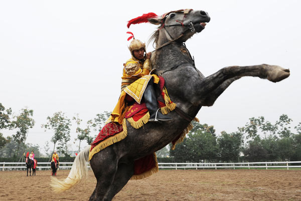 Ancient horsemanship brought back to life