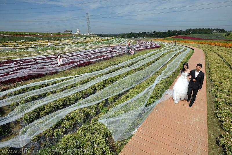 4,100m wedding dress to apply for Guinness book of records