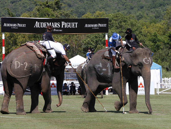 King's Cup Elephant Polo Tournament in Thailand