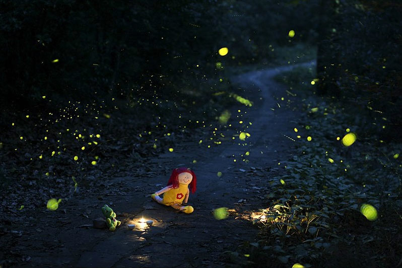 come and see fireflies in nanjing
