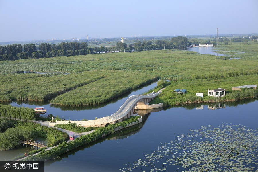 Baiyangdian Lake embraces most beautiful season in Hebei