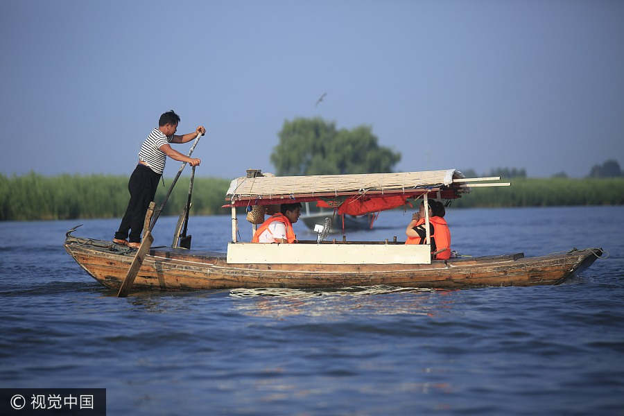 Baiyangdian Lake embraces most beautiful season in Hebei