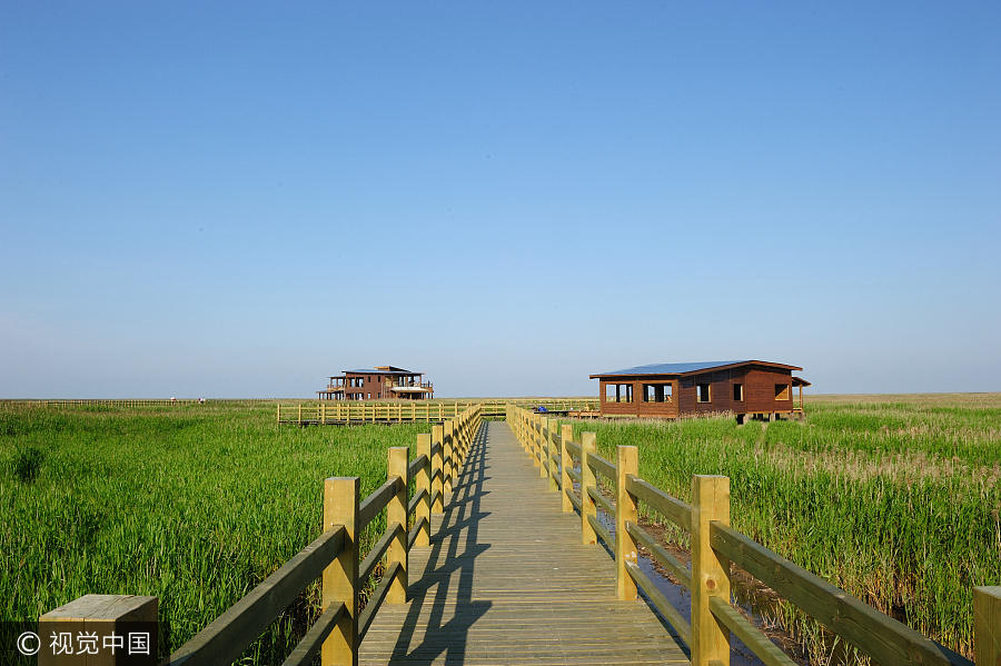 10 best wetland resorts for serene break