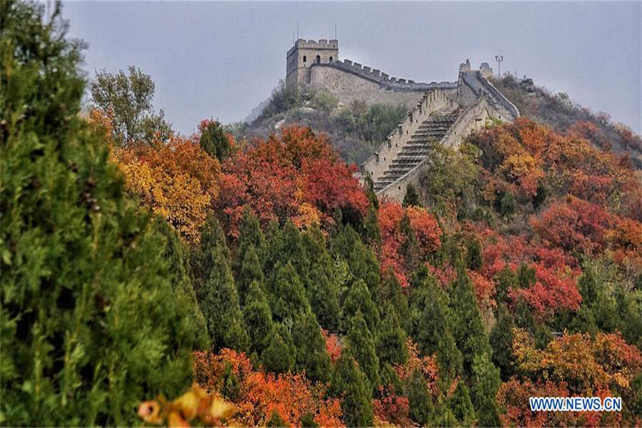 Stunning autumn scenery of Badaling National Forest Park