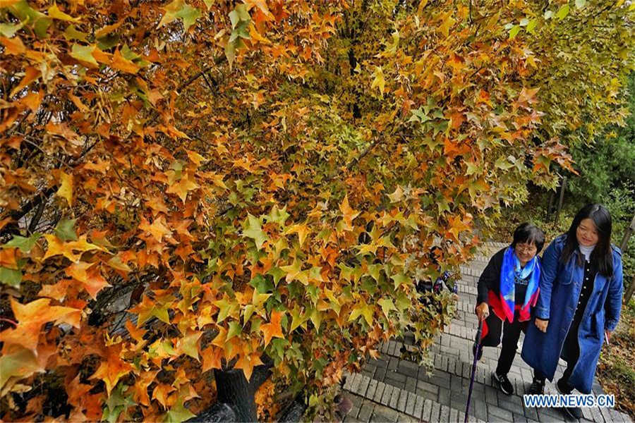 Stunning autumn scenery of Badaling National Forest Park