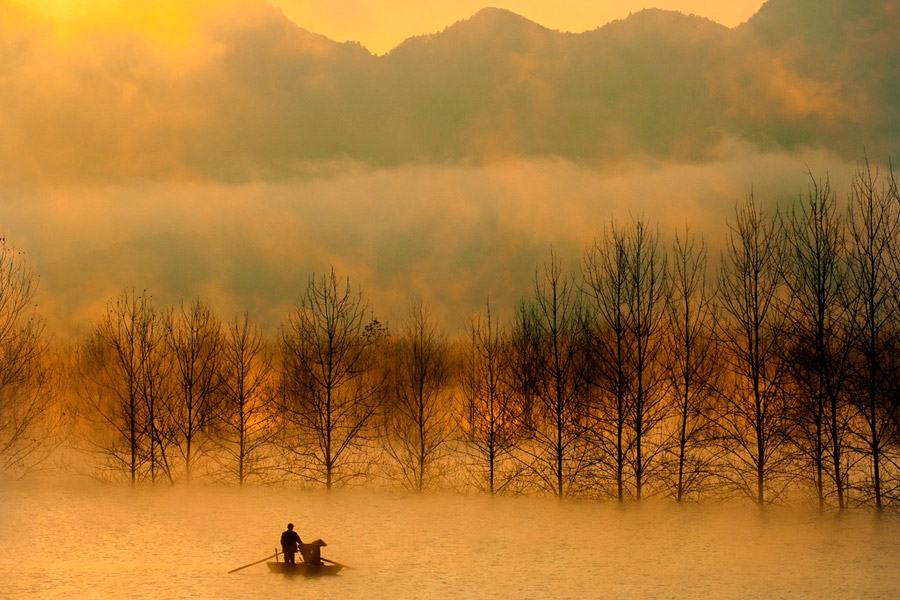 Golden paradise scenery in E China
