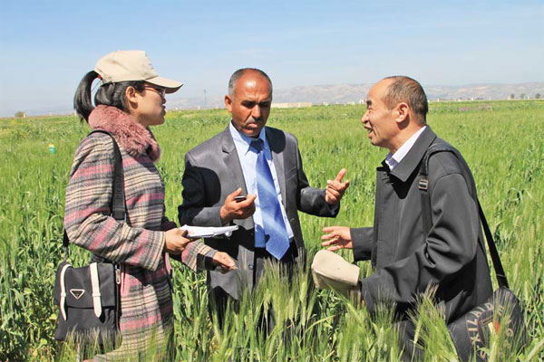 Call to nurture shoots of Africa's agriculture