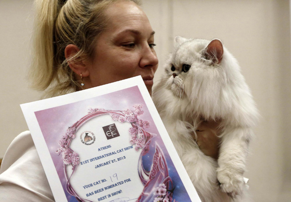 Cats compete for top prize