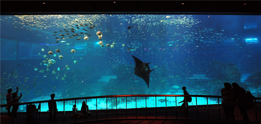 World's largest aquarium in Singarpore
