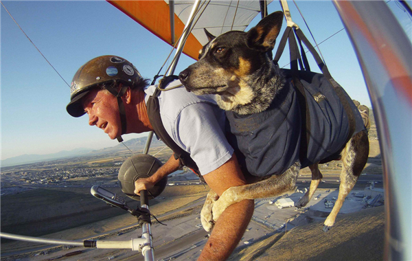 Fly with man's best friend
