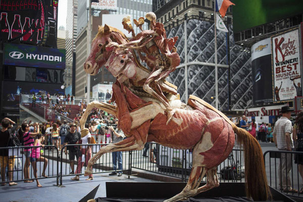 Deconstructed bodies on display at Times Square