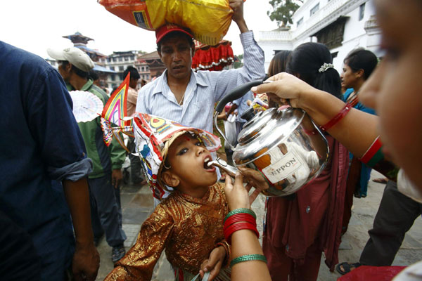 Festival of cows celebrated in Nepal