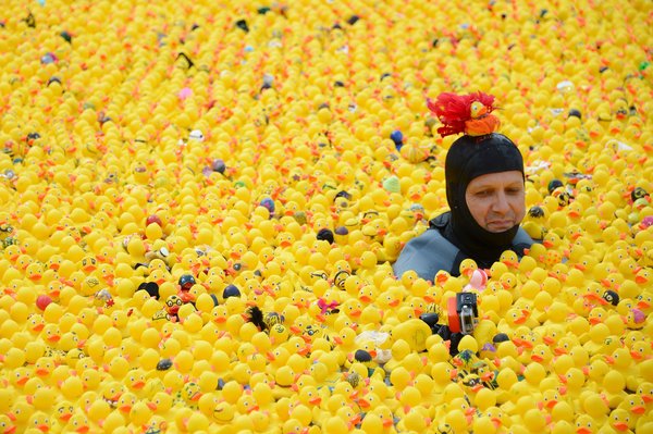 Verduisteren trolleybus Zeeziekte 12,000 rubber ducks swim for contest[1]|chinadaily.com.cn