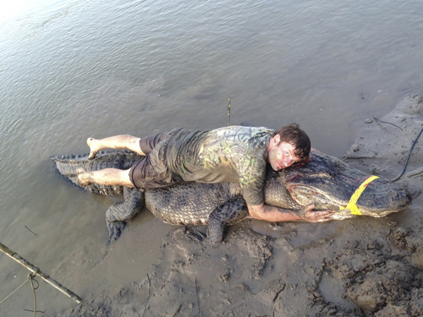 Record alligator caught in Mississippi River