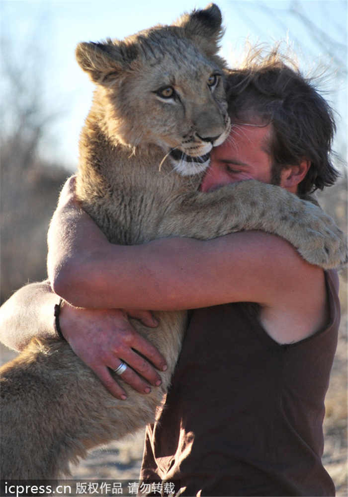 Lioness bonds with new family