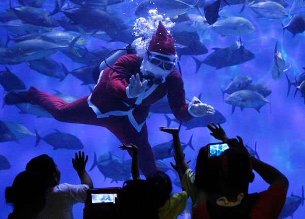 Santa Claus swims at the Manila Ocean Park
