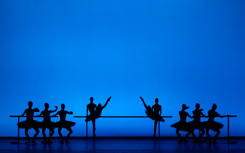 Ballet-Hommage performance gears up in Vienna