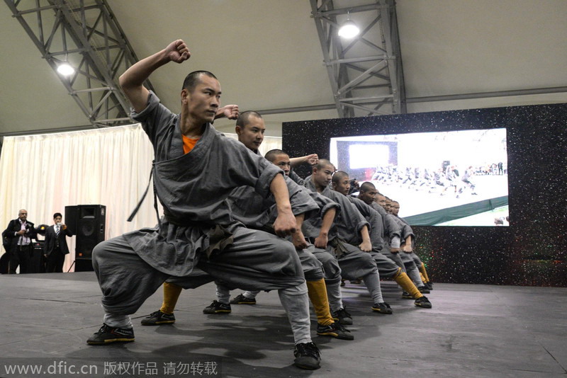 Shaolin culture goes popular in Europe