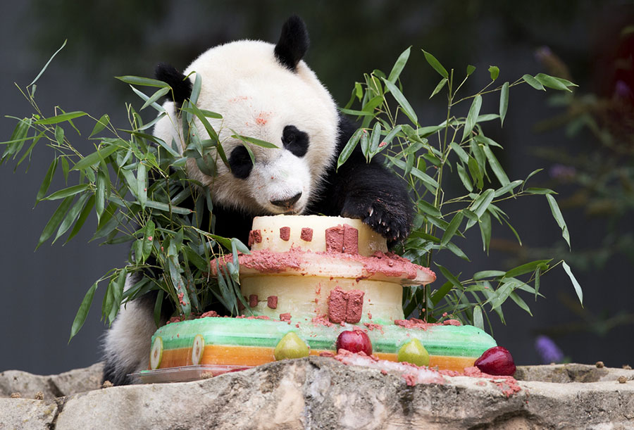 First ladies name giant panda cub 'Bei Bei' in Washington DC