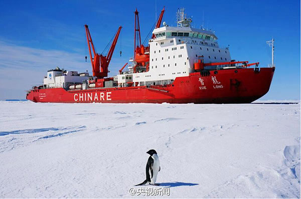 China welcomes foreign talents in polar research