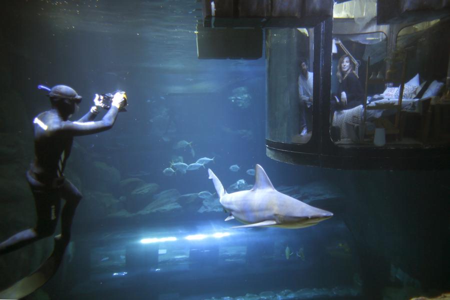Sleep tight and don't let sharks bite at Paris aquarium