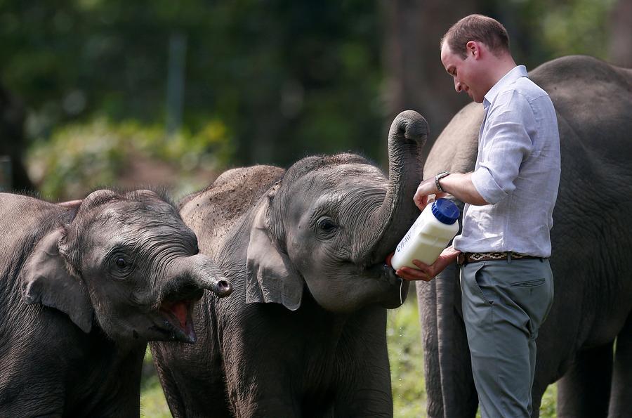 Prince William and Kate visit India's wildlife hotspot Kaziranga