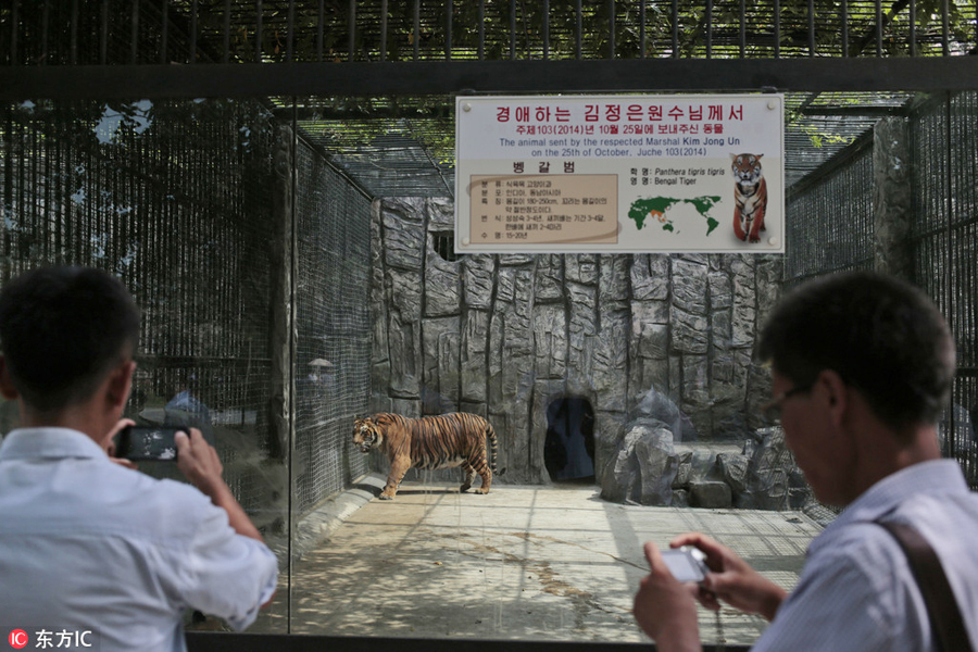 DPRK's renovated central zoo attracts thousands of visitors every day