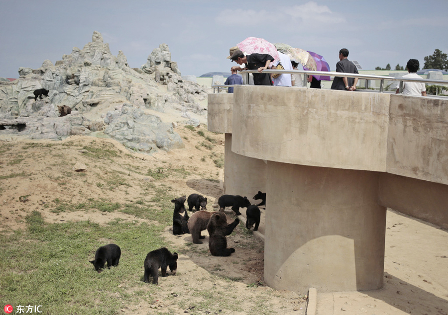 DPRK's renovated central zoo attracts thousands of visitors every day