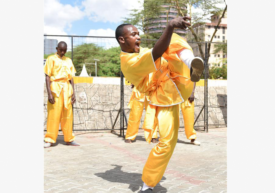 Kungfu Festival kicks off in Kenya