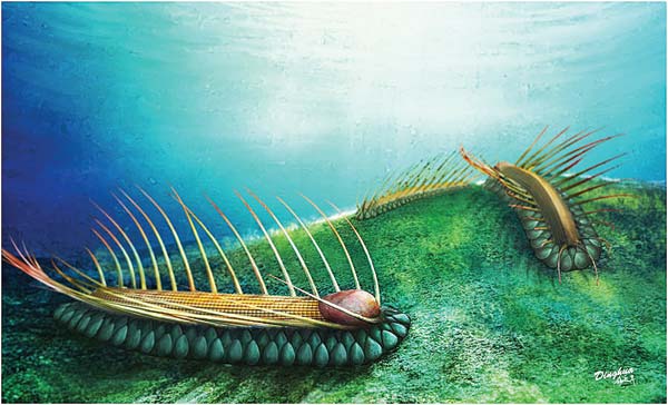 'Strange beyond measure' sea creature unearthed in China